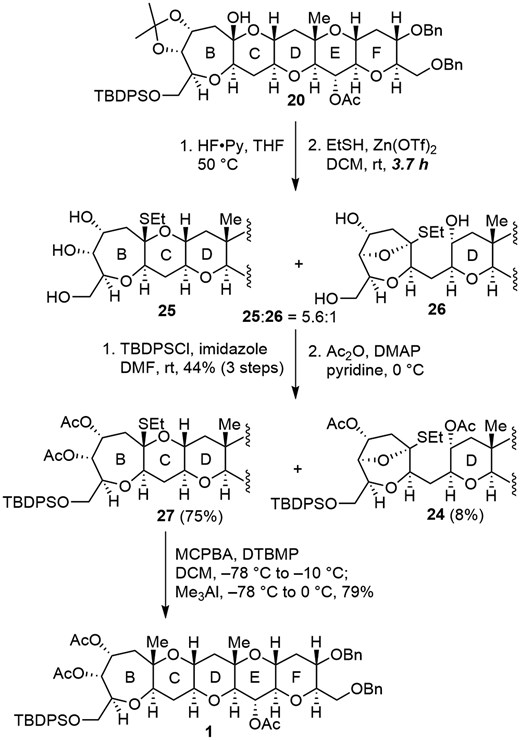 Synthesis of BCDEF ring system 1 of MTX.