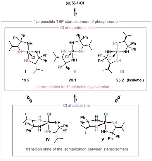 Five possible TBP stereoisomers of pentacoordinate phosphorane generated from (M,S)-1·Cl.