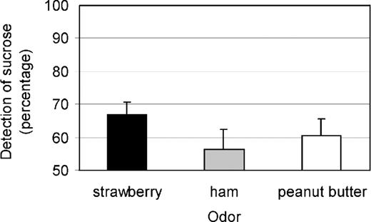 Figure 1 Results of a pilot study (n = 14): accuracy of detecting sucrose as a function of odor (strawberry, ham, and peanut butter). Bars show mean detection accuracy of sucrose (%) while smelling each of the three odors, and error bars show standard errors. Note that 50% represents performance at the chance level.