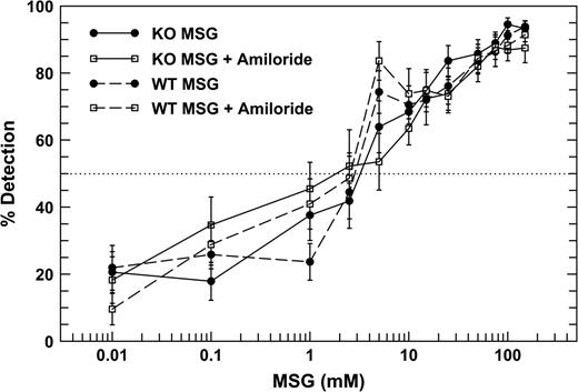 Psychophysical functions of the WT (dashed lines) and KO (solid lines) mice for MSG without and with 100 μM amiloride in all solutions. No significant differences between the thresholds of KO and the WT mice were detected.