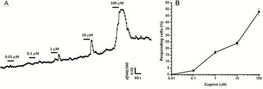 Concentration-dependent responses to eugenol measured in HBO cells. (A): Increasing eugenol concentrations resulted in concentration-dependent increases in the peak amplitude of intracellular calcium concentration changes. HBO cells (n = 9) were stimulated with eugenol at concentrations of 0.01, 0.1, 1, 10, and 100 μM. Data are shown as fluorescence intensity changes (ΔF340/F380) of 9 different cells combined. (B): Dose–response curve for eugenol. Data are shown as the percentage of responding cells compared with the total number of HBO cells (n = 5 experiments) in the same camera field, indicating that increasing concentrations of eugenol induced increasing numbers of responsive cells.