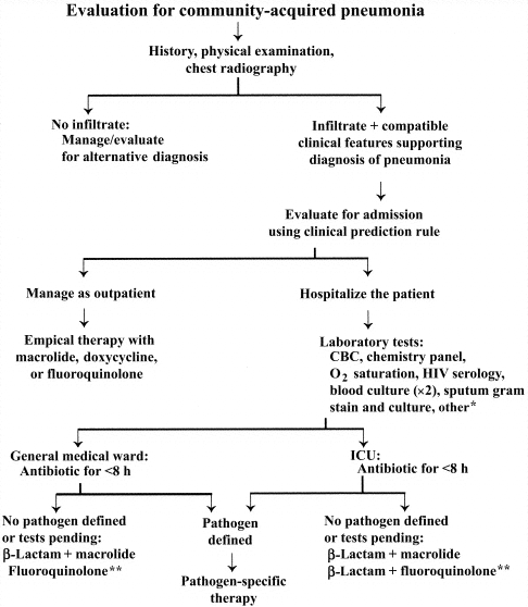 Evaluation for diagnosis and management of community-acquired pneumonia, including site, duration, and type of treatment. β-Lactam: cefotaxime, ceftriaxone, or a β-lactam / β-lactamase inhibitor. Fluoroquinolone: levofloxacin, moxifloxacin, or gatifloxacin or another fluoroquinolone with enhanced antipneumococcal activity. Macrolide: erythromycin, clarithromycin, or azithromycin. CBC, complete blood cell count; ICU, intensive care unit. *Other tests for selected patients: see text, Diagnostic Evaluation: Etiology. **See table 15 for special considerations.
