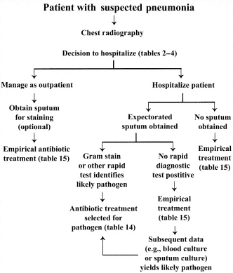 Procedures for diagnosis and for outpatient and hospital-centered management of community-acquired pneumonia in adults.