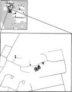 GIS display of a neighborhood containing a large cluster of cases of shigellosis. Note the predominance of cases grouped among families living in close proximity to each other.