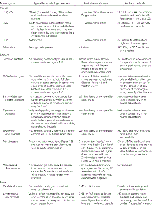 infectious disease pathology clinical infectious diseases oxford