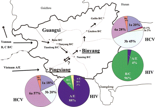 Map of HIV and hepatitis C virus epidemics in Guangxi Province. Arrows indicate heroin trafficking routes. Dotted lines indicate major highways within the province. A/E, HIV CRF01_AE; B/C, HIV CRF08_BC.