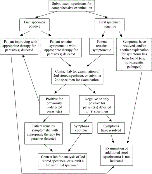 Algorithm for stool ova and parasite testing in symptomatic patients. In settings of low-to-moderate parasite prevalence (where ⩽20% of tested patients have at least 1 positive finding from a stool specimen), examination of a single stool specimen is generally sufficient. One stool specimen should be analyzed by a comprehensive examination including (at a minimum) a permanently stained smear, a concentration wet mount, and fecal immunoassay(s) directed against Giardia and Cryptosporidium species. A direct wet mount should be included if the specimen is fresh (unpreserved). If additional specimens are submitted (no more than 3 in total) they should be preserved, accessioned, and stored by the laboratory, but processing and examination should be deferred until examination of the first specimen is complete.