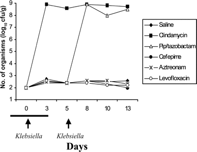 Effect of antibiotic treatment on establishment of intestinal colonization with extended-spectrum β-lactamase-producing Klebsiella pneumoniae in mice. Mice received subcutaneous antibiotic treatment from day -2 to day 3 (solid bar), and oral extended-spectrum β-lactamase-producing K. pneumoniae (10,000 cfu) was administered once during treatment and once 2 days after completion of treatment. Densities of extended-spectrum β-lactamase-producing K. pneumoniae in stool are shown. If extended-spectrum β-lactamase-producing K. pneumoniae were not detected, the lower limit of detection was assigned (2 log10 cfu/g). Pip, piperacillin.