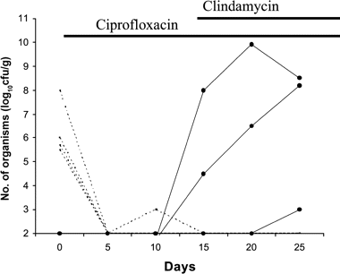 Densities of indigenous and acquired facultative gram-negative bacilli in stool samples from 5 healthy volunteers receiving treatment with oral ciprofloxacin (20 mg/day) for 14 days followed by oral ciprofloxacin in combination with clindamycin (300 mg/day). Ciprofloxacin monotherapy eliminated indigenous Escherichia coli (dotted lines). No subjects acquired exogenous ciprofloxacin-resistant gram-negative bacilli during ciprofloxacin monotherapy, whereas 3 subjects did during the combination treatment period (solid circles). The acquired exogenous gram-negative bacilli included E. coli (2 strains) and Citrobacter freundii. Data are from Joris et al. [48].