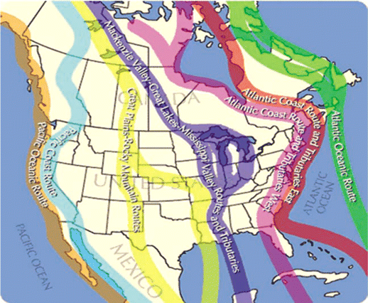 Migratory bird flyways in the Western Hemisphere. In the fall, birds fly south to areas in tropical America, where they spend the winter. In the spring, they fly north again, potentially carrying the virus with them each way. In both the south and the north, birds from different flyways may mix.