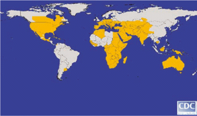 The approximate global distribution of West Nile virus, by country, state, and province, 2006. Figure appears courtesy of the Centers for Disease Control and Prevention.