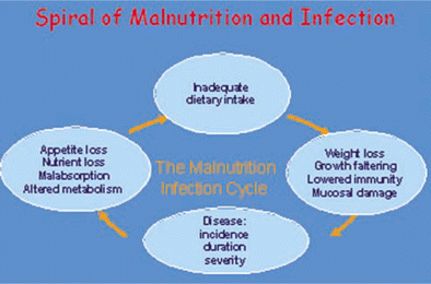 The “vicious cycle” of malnutrition and infection