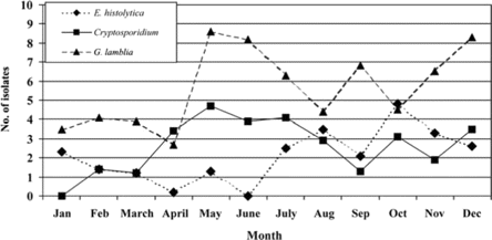 Seasonality of enteric protozoa in case patients with acute diarrhea, as shown by the number of isolates of Entamoeba histolytica, Cryptosporidium species, and Giardia lamblia recovered from stool samples, by month of the year.