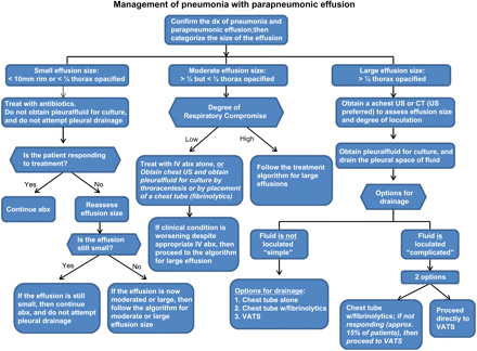 Management of pneumonia with parapneumonic effusion; abx, antibiotics; CT, computed tomography; dx, diagnosis; IV, intravenous; US, ultrasound; VATS, video-assisted thoracoscopic surgery.