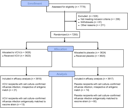 Flow of participants through the study. Abbreviation: VCIV, Vero cell culture–derived influenza vaccine.