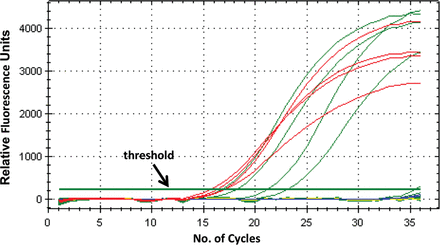 An example of the graphical results of real-time polymerase chain reaction performed on 4 eae-positive specimens (red), 4 unknown specimens (green), and negative controls (yellow and blue). A threshold for detection of DNA-based fluorescence is set slightly above background fluorescence levels.