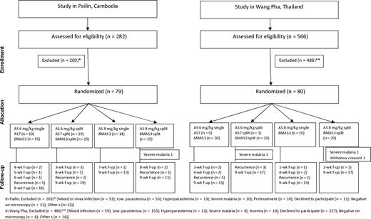 Enrollment, randomization, and follow-up of the patients in the 2 study sites. Please see the Methods section for a description of the study arms. Abbreviations: AS, artesunate; f-up, follow-up.