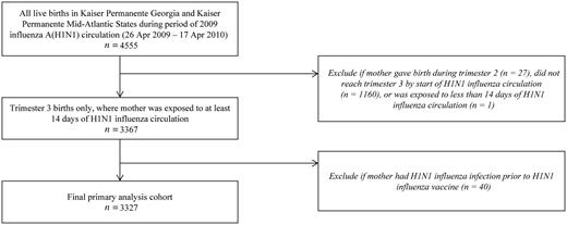 Definition of primary analysis cohort.