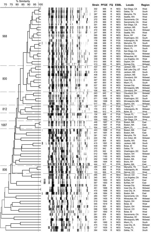 Xbal pulsed-field gel electrophoresis–based dendrogram for 85 ST131 Escherichia coli isolates from veterans. The 85 isolates were selected randomly from the total ST131 population. Region denotes the 4 main US census regions. Horizontal lines bound the 5 most prevalent pulsotypes. Vertical line separates isolates with ≥98% overall profile similarity from less similar isolates. Abbreviations: ESBL, extended-spectrum β-lactamase; FQ, fluoroquinolone phenotype (R, resistant; S, susceptible); PFGE, pulsed-field gel electrophoresis.