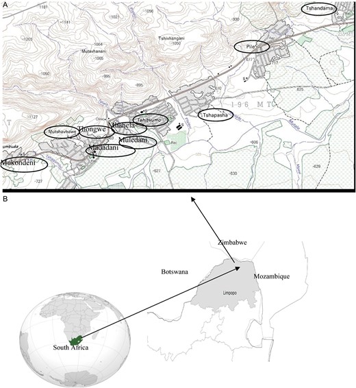 A, Study area of Dzimauli comprises the villages (circled) along the main road axis and spans a distance of about 20 km. Dzimauli is about 45 km north of the University of Venda in the Vhembe district capital of Thohoyandou. B, Situational representation of the MAL-ED field site in the Limpopo province of South Africa.