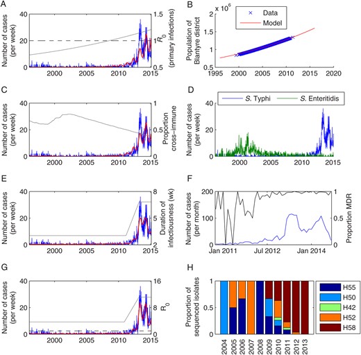 Fit of models for scenarios 1–4 to data on weekly number of culture-confirmed Salmonella Typhi infections at Queen Elizabeth Central Hospital in Blantyre, Malawi, from January 1996 to February 2015. A, Observed weekly number of typhoid fever cases (blue) and best-fit model for scenario 1 (red). The R0 for primary infections is plotted in gray, while the dashed black line represents R0 = 1. B, Observed (blue) and modeled (red) population size of Blantyre district (in millions). C, Observed weekly number of typhoid fever cases (blue) and best-fit model for scenario 2 (red). The proportion of the population with cross-immunity from past Salmonella Enteritidis infection is plotted in gray. D, Observed weekly number of Salmonella Typhi (blue) and Salmonella Enteritidis (green) cases. E, Observed weekly number of typhoid fever cases (blue) and best-fit model for scenario 3 (red). The duration of infectiousness (in weeks) is plotted in gray. F, Observed monthly number of Salmonella Typhi cases (blue) and the proportion of isolates exhibiting multidrug resistance (MDR) (black) from October 2010 to December 2014. G, Observed weekly number of typhoid fever cases (blue) and best-fit model for scenario 4 (red). The overall R0 is plotted in gray. H, The proportion of sequenced Salmonella Typhi isolates belonging to each haplotype by year.