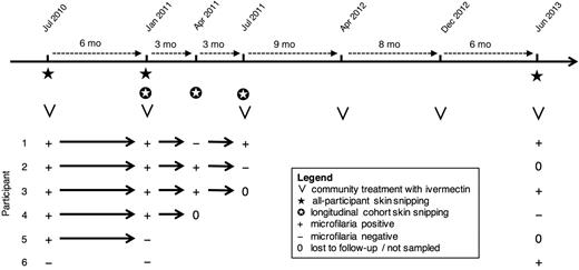 Schematic timeline and illustrative history of 6 trial participants of the study used to evaluate community trends in infection and rates of microfilarial repopulation following the onset of a biannual treatment strategy in 10 Ghanaian communities. Participants 1–6 represent 6 of the 956 consenting individuals from whom skin snips were taken in July 2010, just before the first round of biannual ivermectin treatment, and 6 months later in January 2011, just before the second round of biannual ivermectin treatment. Participants 1–5 were positive for microfilariae in July 2010 and hence were included in the cohort of 217 individuals for evaluating rates of skin microfilarial repopulation. Participants 1–4 represent 4 of the 186 individuals who were microfilaria positive in January 2011, with participants 1 and 2 successfully followed up and skin snipped in April 2011 and again in July 2011, just before the third round of biannual ivermectin treatment. Participants 1, 3, 4, and 6 represent 4 of the original 956 participants who agreed to be skin snipped for a final time in June 2013, just before the final round of treatments delivered by the Ghana Health Service Neglected Tropical Diseases Programme. The months given on the timeline are the modal months of treatment activity among the 10 communities, but there is significant variation in the months and exact dates, especially for the biannual treatments given after July 2011 (see Figure 3 for exact dates).