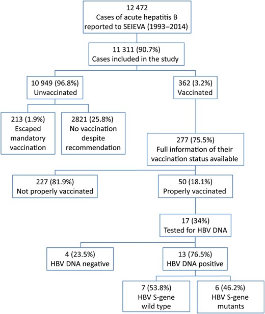 Study design. Abbreviations: HBV, hepatitis B virus; SEIEVA, Sistema Epidemiologico Integrato dell'Epatite Virale Acuta.