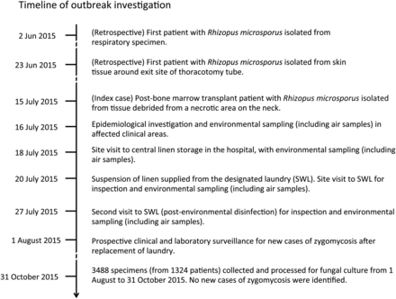 Timeline of outbreak investigation.
