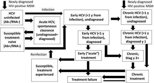 Mathematical model schematic. The model is also stratified by treatment-naive, interferon-experienced, direct-acting antiviral–experienced, and low-/high-risk states. Human immunodeficiency virus (HIV) and non-HIV death occurs from all states. Abbreviations: Ab, antibody; HCV, hepatitis C virus; MSM, men who have sex with men.