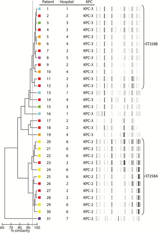 Repetitive extragenic palindromic–polymerase chain reaction (rep-PCR) dendrogram of colistin-resistant carbapenem-resistant Klebsiella pneumoniae isolates. A ≥95% similarity cutoff (gray line) was used to consider isolates of the same rep-PCR type. Colored boxes next to each strain represent the various hospitals from which isolates were recovered. Abbreviation: KPC, klebsiella pneumoniae carbapenemase.