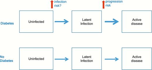 Possible effects of diabetes on the natural history of tuberculosis.