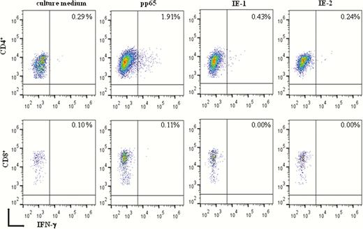 Flow cytometry detection of interferon gamma (IFN-γ) produced by memory T cells with proliferative capacity in the presence of culture medium alone or after stimulation with pp65, IE-1, and IE-2. Percentages of IFN-γ–producing CD4+ and CD8+ T cells examined in a representative pregnant woman with primary human cytomegalovirus infection are reported.