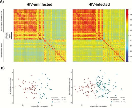 K-means cluster analysis results by human immunodeficiency virus (HIV) status. A, Visualization of the correlation matrices for the regions of cortical and subcortical gray matter volume (GMV; Harvard-Oxford atlas) and white matter fractional anisotropy (FA) (International Consortium of Brain Mapping DTI-81 white matter labels) used in the k-means clustering analysis for the HIV-infected and HIV-uninfected groups. The correlation coefficient is represented by the color of the box (scale to the right of the figure). B, Principal component plots showing the separation of the clusters based on the k-means clustering analysis of parcellated gray matter and mean FA data for the HIV-uninfected controls on the left (circles) and HIV-infected participants on the right (triangles). Cluster 1 (orange) had higher GMV and higher FA for each region whereas cluster 2 (green) had lower GMV and lower FA for each region. HIV-infected individuals were more likely to be members of the lower GMV and lower FA cluster (odds ratio, 2.74; 95% confidence interval, 1.53–4.98).