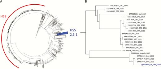 A, The extended spectrum β-lactamase producing Typhi 10040_15 isolate within the global phylogenetic context of 1831 published Salmonella Typhi genomes (4). The H58 clade is indicated in red and the H55 clade (genotype 2.5.1), containing Typhi 10040_15, is highlighted in blue. B, Detailed view of the branch with Typhi 10040_15. Strains are annotated with the accession number of the sequencing data, the country of isolation and the year of isolation. Abbreviations: CAR, Central African Republic; DRC, The Democratic Republic of the Congo.