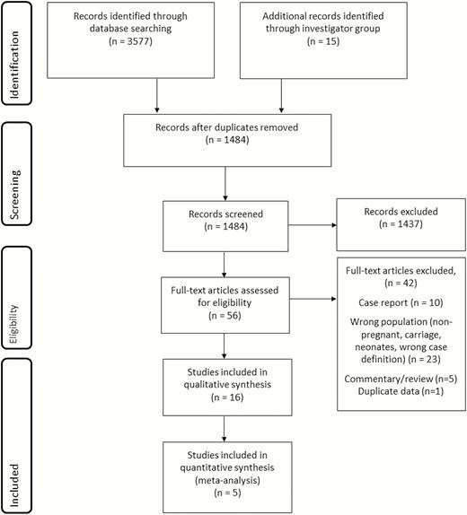 Data search and included studies for maternal group B streptococcal disease.
