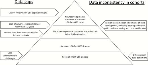 “Iceberg” of data available on neurodevelopmental outcomes after infant group B streptococcal (GBS) disease.