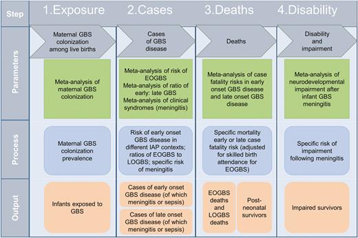 Compartmental model for estimating cases of infant group B streptococcal disease, deaths, and disability. Abbreviations: EOGBS, early-onset group B Streptococcus; GBS, group B Streptococcus; IAP, intrapartum antibiotic prophylaxis; LOGBS, late-onset group B Streptococcus.