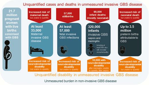 Summary of outcomes and measurement gaps in terms of deaths and disability from group B Streptococcus (GBS) in pregnant women, stillbirths, and infants worldwide in 2015. More details of cases and outcomes are shown in Supplementary Figures 4, 6, 7, 10–12.