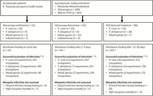 Patient and community recruitment strategies and assessments of infectivity. Mosquito feeding experiments were not done (*) either because participants were not available or did not consent to donate venous blood samples during the moment of feeding (n = 17). Mosquito infectivity experiments were disregarded (**) because of negative quantitative polymerase chain reaction results during feeding (n = 23) or survival of fewer mosquitoes on day 12 post-feeding (n = 18). Abbreviations: DBS, dried blood spot; nPCR, nested polymerase chain reaction; PCR, polymerase chain reaction.