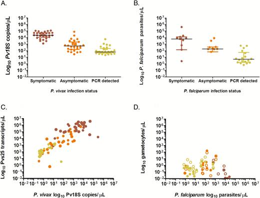 Plasmodium vivax and Plasmodium falciparum parasite and gametocyte densities in symptomatic patients and asymptomatically infected individuals. The y-axes shows the log10 transformed P. vivax 18S copy numbers/µL (A) and P. falciparum parasite densities/µL (B) during the screening surveys at the clinic and in the community with status indicated on the x-axes. Log10 transformed P. vivax Pvs25 transcripts/µL (C) and log10 transformed P. falciparum gametocytes/µL (D) on the y-axes and log10 transformed P. vivax 18S copy numbers/µL (C) and P. falciparum parasite densities/µL (D) during membrane feeding experiments. Data are presented for the 3 defined groups of clinical malaria cases (red circles), asymptomatic microscopy-detected infections (orange circles), and asymptomatic polymerase chain reaction–detected (microscopy negative) infections (yellow circles). In (D) unfilled circles indicate male gametocytes, whereas filled circles indicate female gametocytes. In this figure, each sample provides 2 observations for male and female gametocyte density. In A and B lines refer to the median parasite density and the interquartile ranges. Abbreviation: PCR, polymerase chain reaction.