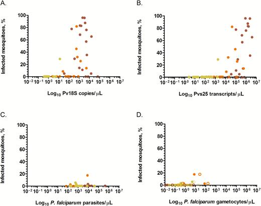 Percentage of infected mosquitoes in relation to parasite (A and C) and gametocyte densities (B and D). Shown on the y-axes are percentages of infected mosquitoes. Presented on the x-axes are log10 transformed copy numbers/µL of the 18S rRNA gene (A) and Pvs25 transcripts/µL (B) of Plasmodium vivax parasites and Plasmodium falciparum parasites/µL (C), P. falciparum female (filled circles) and male (unfilled circles) gametocytes/µL (D) measured on samples collected at the moment of feeding. D, Each sample contributes 2 observations, that is, for male and female gametocyte density. Red circles are microscopy-detected symptomatic infections; orange circles are asymptomatic microscopy-detected infections; and yellow circles are polymerase chain reaction–detected asymptomatic infections.