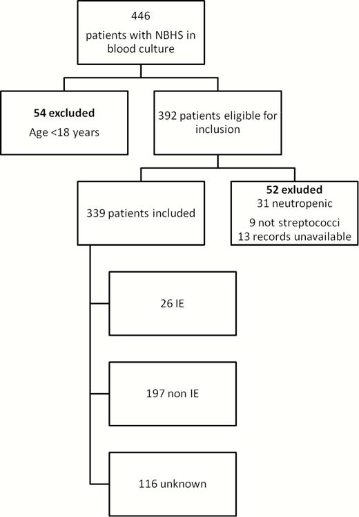 Flowchart of inclusion and exclusion in the first cohort. Abbreviations: IE, infective endocarditis; NBHS, non-β-hemolytic streptococci.