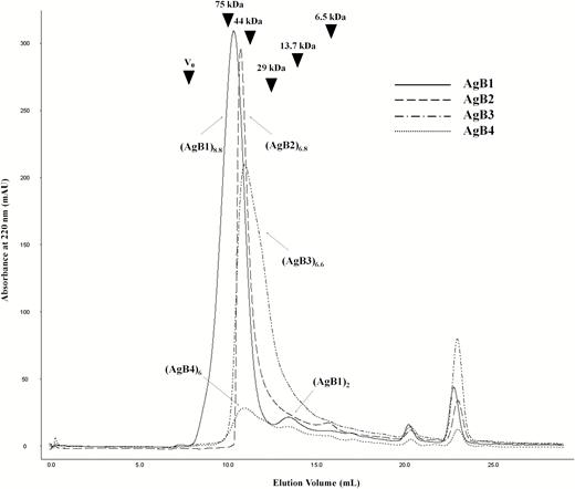 Size-exclusion chromatography of the synthetic antigen B (AgB) subunits. The chromatogram overlay of AgB1, AgB2, AgB3, and AgB4 shows their similar propensity to oligomerize. (AgBm)n indicates the n units forming the AgBm oligomer. Size calibration marks, obtained from runs of standard proteins aprotinin (6.5 kDa), ribonuclease A (13.7 kDa), carbonic anhydrase (29 kDa), ovalbumin (44 kDa), conalbumin (75 kDa) and blue dextran 2000 (as void volume V0) are indicated by arrowheads in the chromatogram.