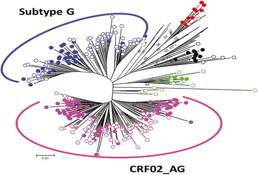 Phylogenetic tree of pol protease–reverse transcriptase sequences (N = 146). This maximum-likelihood tree was constructed in FastTree using general time reversible substitution model with gamma-distributed rate variation among sites for human immunodeficiency virus type 1 subtype determination. Reference sequences are represented as solid circles and newly derived sequences as open circles.