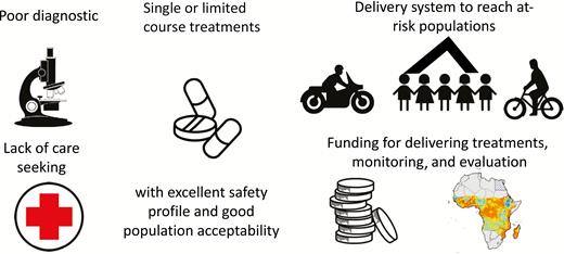 Schematic indicating the key building blocks that form the rationale for many mass drug administration campaigns for neglected tropical diseases.