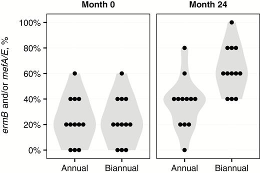 Violin plots depicting the proportion of swabs positive for either the ermB or mefA/E genetic resistance determinant, stratified by study visit and treatment group. A dot plot is superimposed, with each dot representing a community.