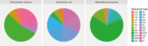 Multilocus sequence types of common carbapenem-resistant Enterobacteriaceae species. Carbapenem-resistant Enterobacteriaceae isolates were categorized by species, then sequence type, showing a diversity of carbapenem-resistant Enterobacteriaceae clades.