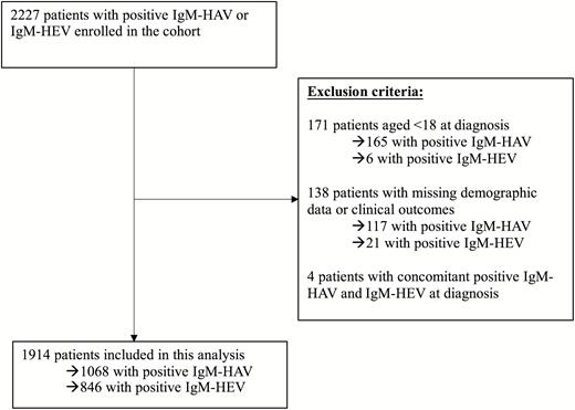 Flowchart of patient inclusions. Abbreviations: HAV, acute hepatitis A; HEV, acute hepatitis E; IgM, immunoglobulin M.