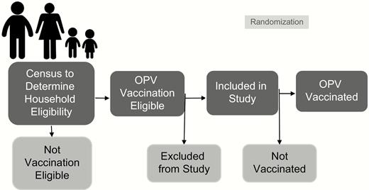 Sampling and vaccination scheme. Abbreviation: OPV, oral polio vaccine.