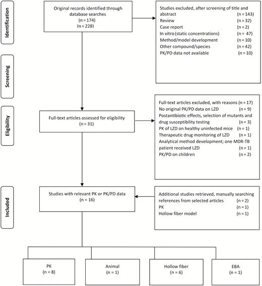 Preferred Reporting Items for Systematic Reviews and Meta-Analyses (PRISMA) diagram. Abbreviations: EBA, early bactericidal activity; LZD, linezolid; MDR-TB, multidrug-resistant tuberculosis; PD, pharmacodynamics; PK, pharmacokinetics.